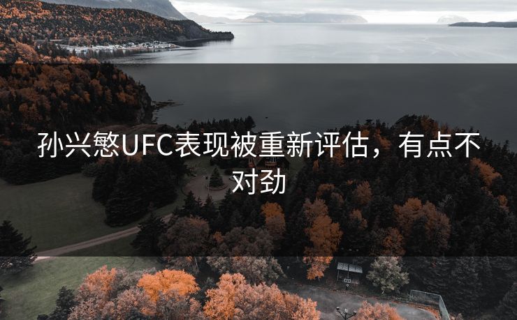 孙兴慜UFC表现被重新评估，有点不对劲