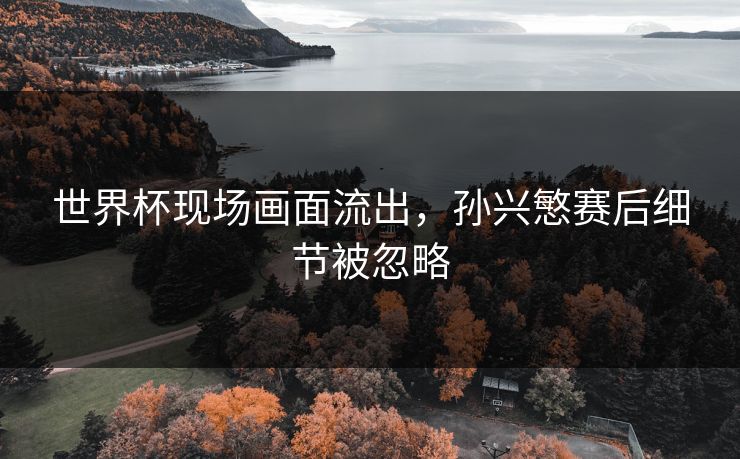 世界杯现场画面流出,孙兴慜赛后细节被忽略 世界杯现场画面流出,孙兴慜赛后细节被忽略